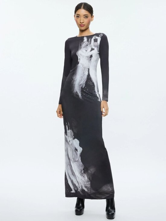 Alice + Olivia Dresses & Skirts - Alice + Olivia Delora Maxi Dress 4 in Renaissance Fresco